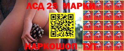 МДМА Славгород