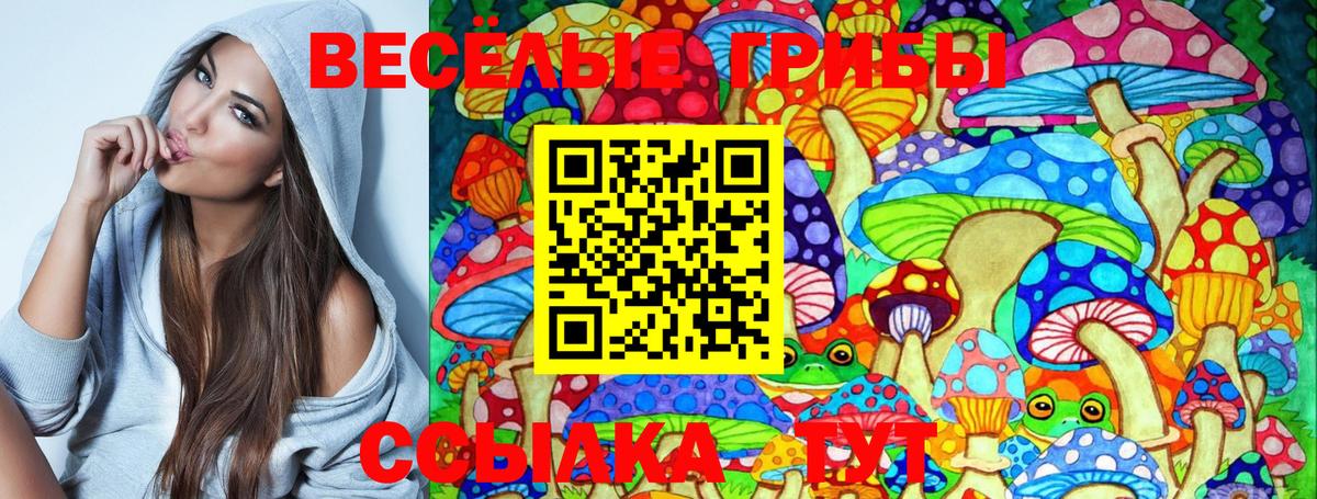 Мценск  Псилоцибиновые грибы Magic Shrooms  Вход с VPN 