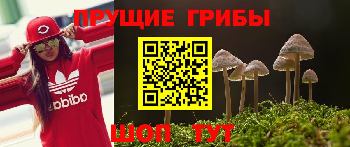 Галлюциногенные грибы Мценск